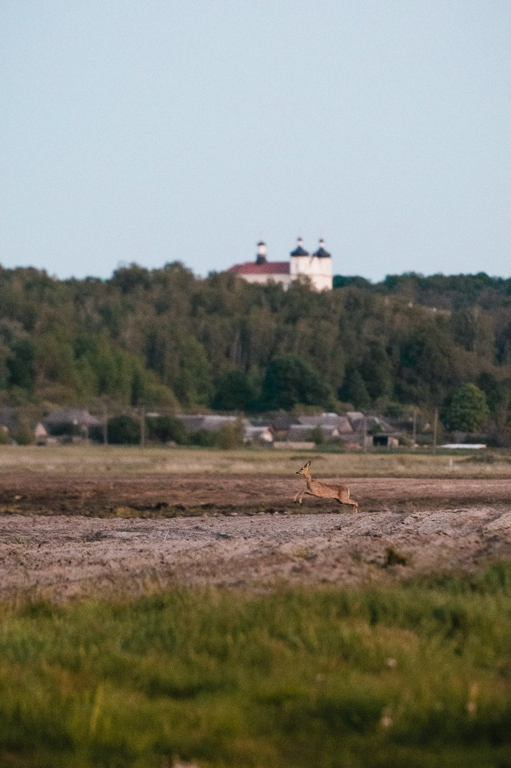 Репортажный фотограф Владимир Беляй