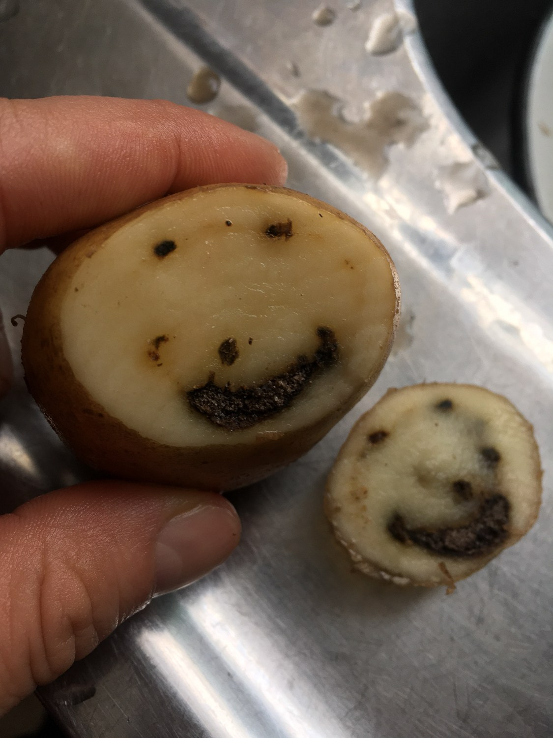 Предвзятая действительность. Дима Птицын