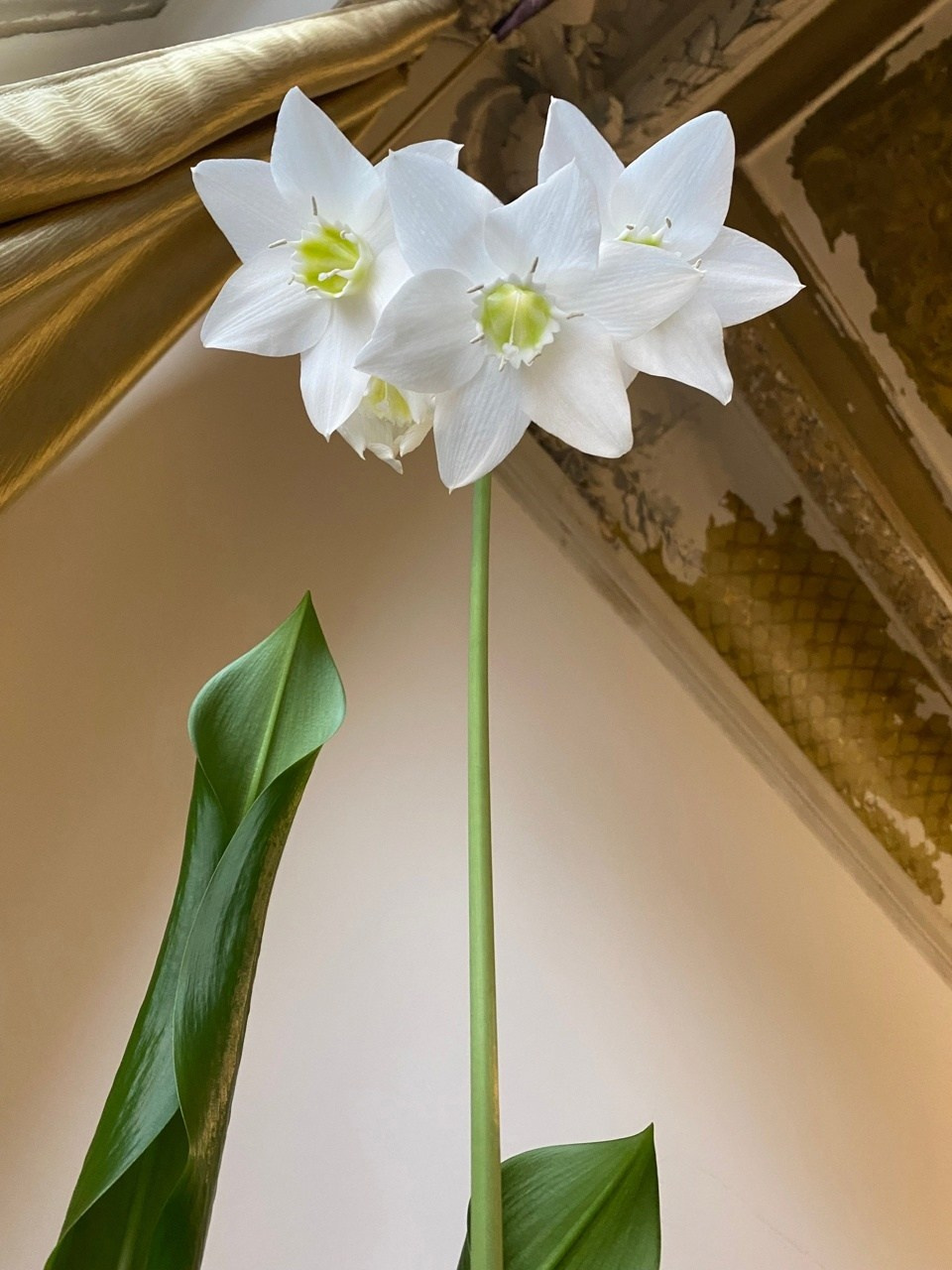 Новости. Дом Шрёдера