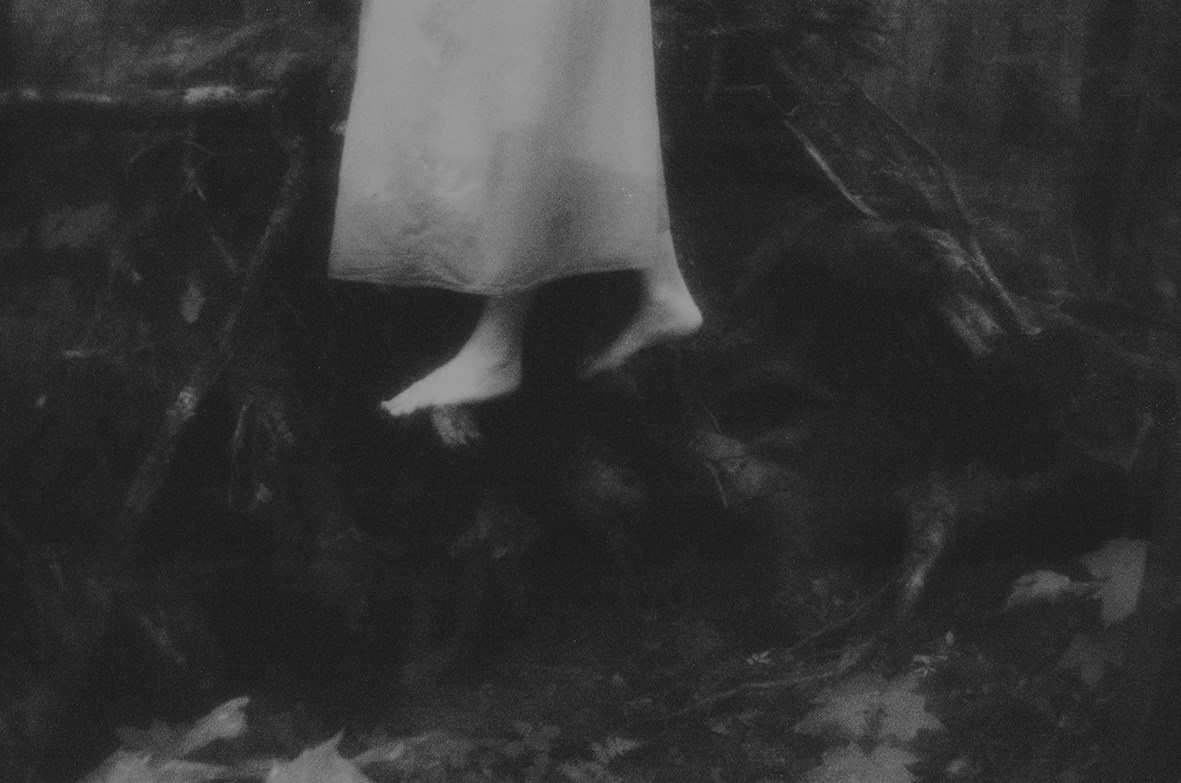 Pulherrima Rosa. Плёночный фотограф Юлия Андрейченко в Москве