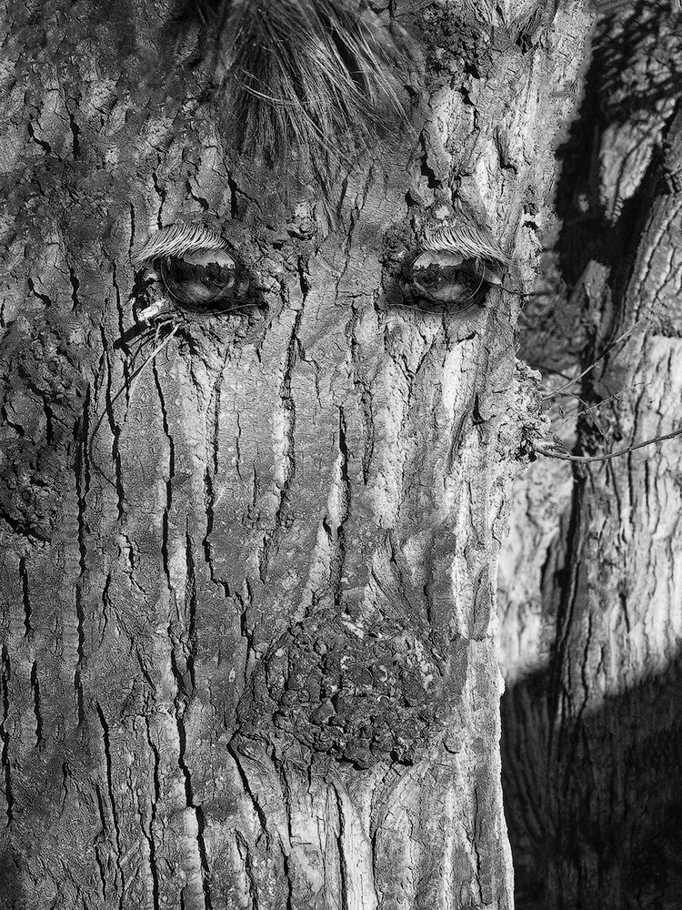 Projects. Landscape Photography by Aleksandr Leshchenok