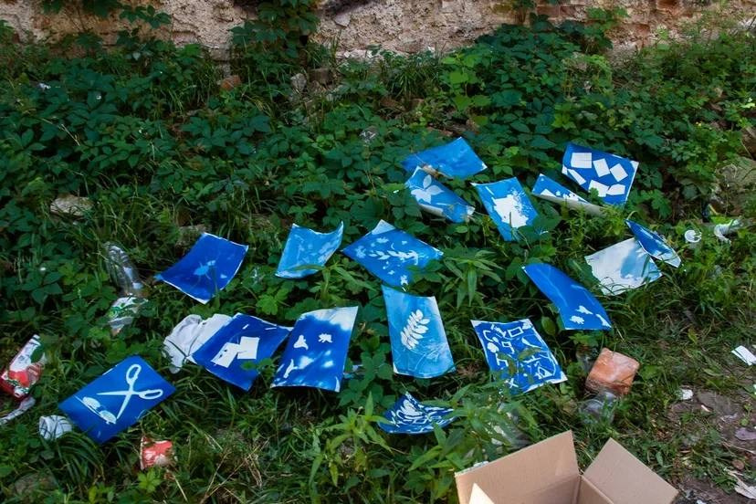 МК по дикой цианотипии, 20 августа 2023, Ростов-на-Дону. Лера Круглова