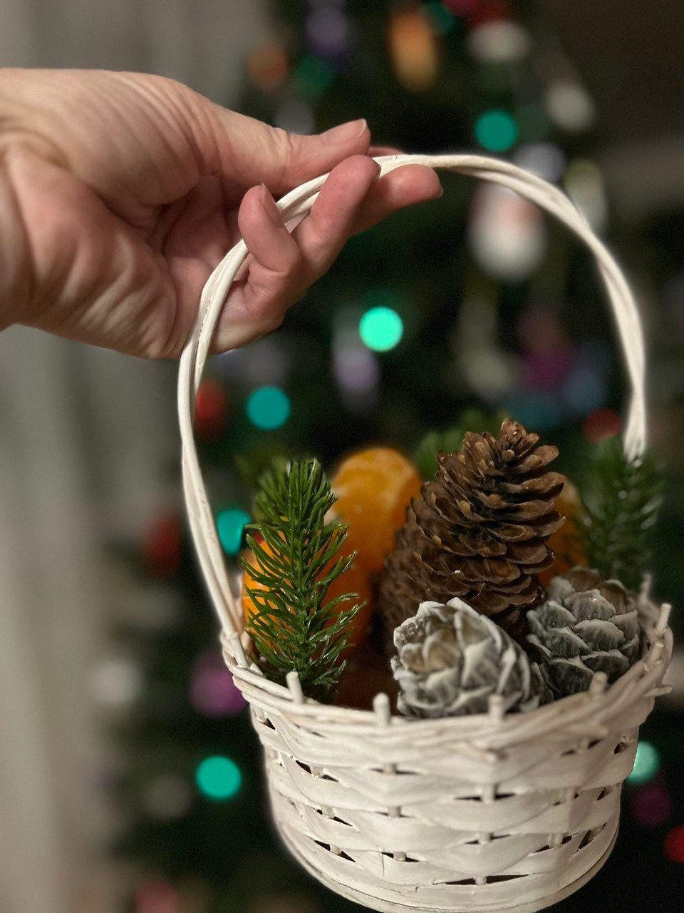 Вся красота мира в одной картинке