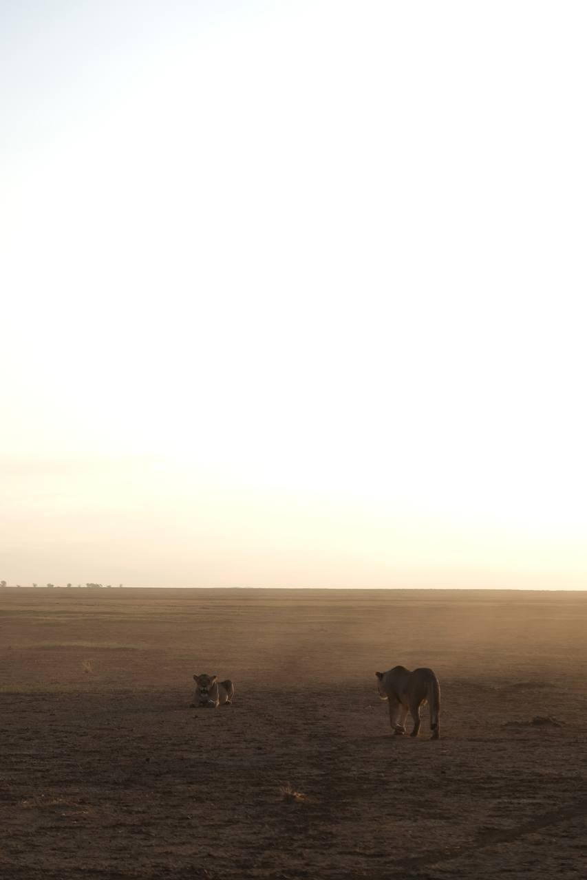 Nataresso | фотограф Москва