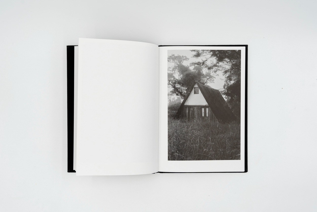 PhMuseum: Неполное руководство по созданию фотокниг — Аллан Салас. Самоорганизация Низина