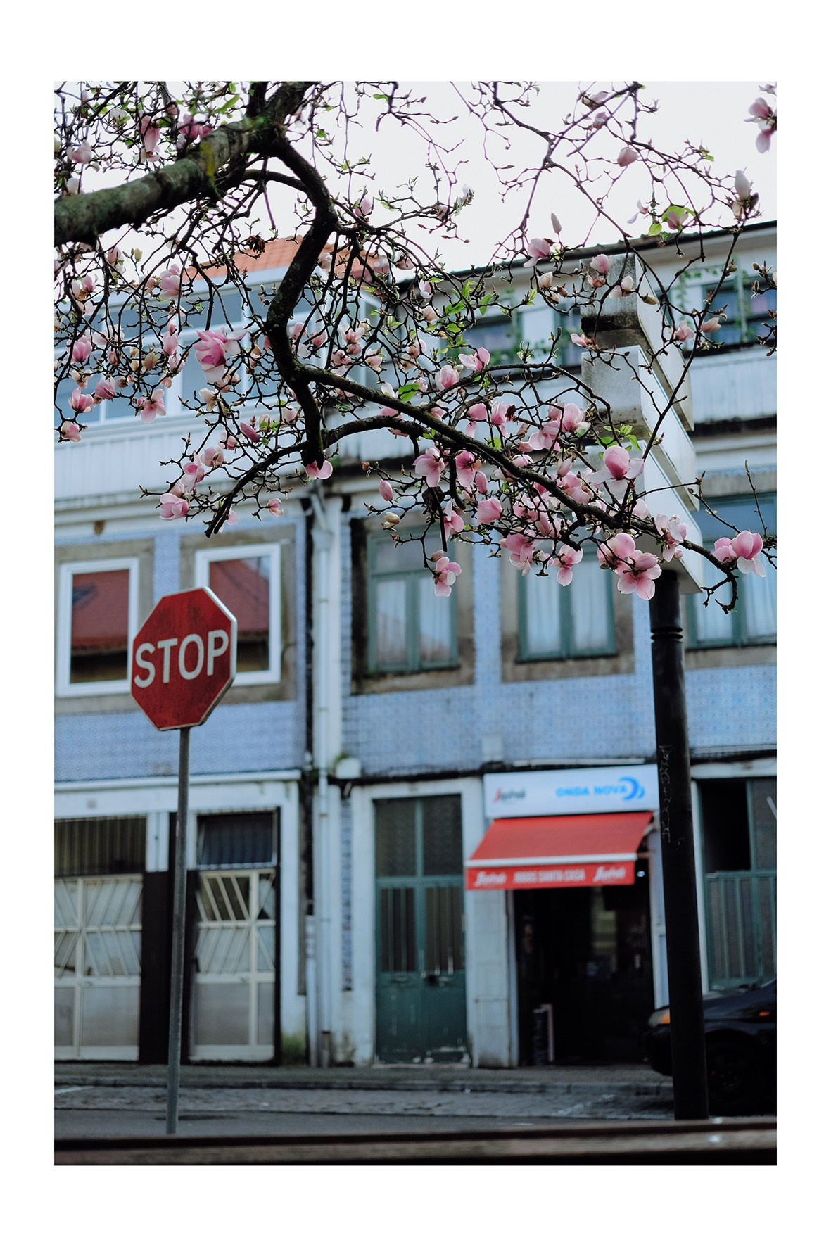 Prints and postcards. Porto Photographer Kristina Brazhnikova