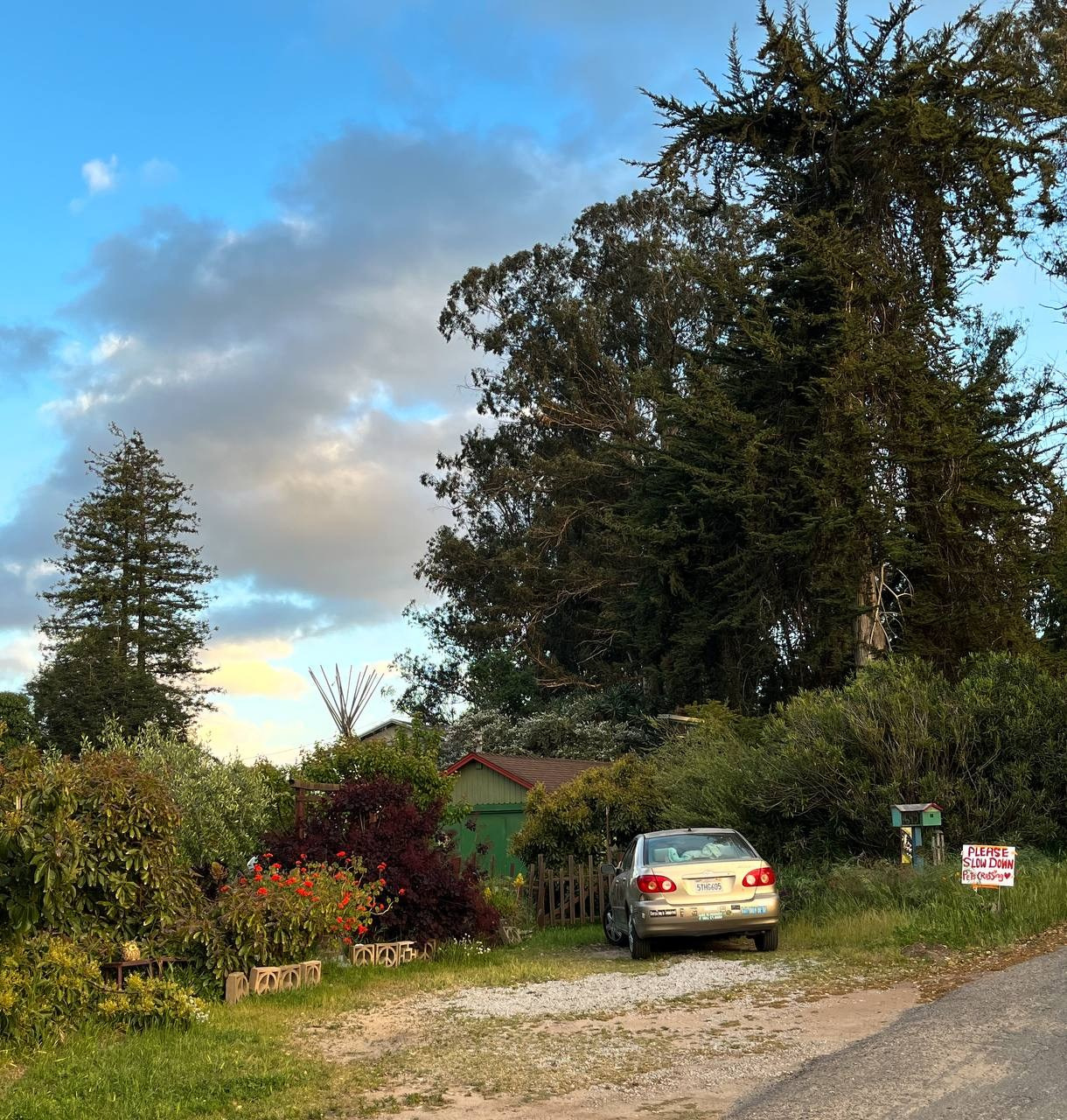 МАРАФОН ФОКУС НА ПРЕКРАСНОМ. Фотограф Анастасия Дмитриева