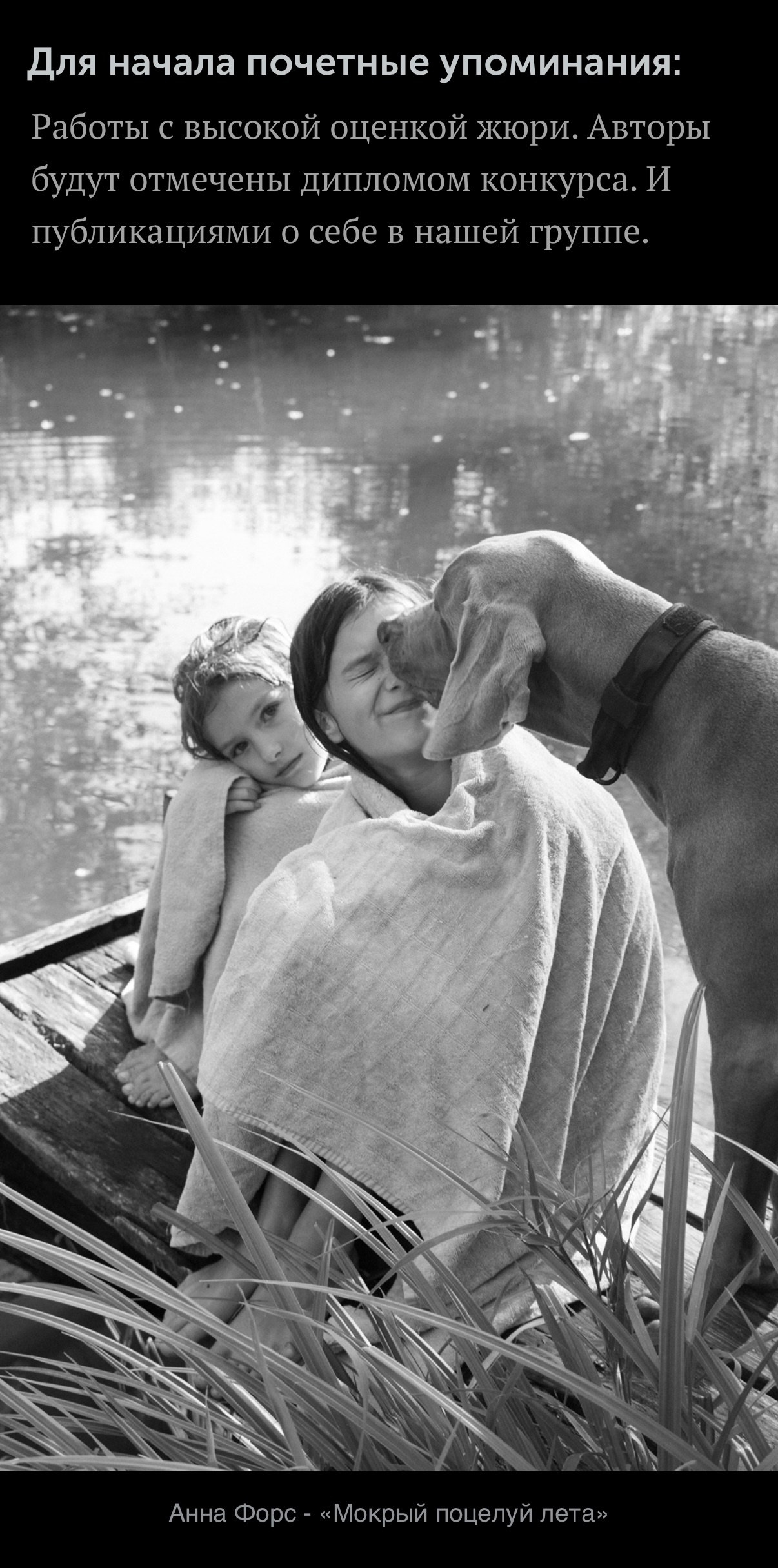 Награды фотохудожника Анны Форс — Победитель BICFP, TopPhotoAwards и финалист Liquida Grant