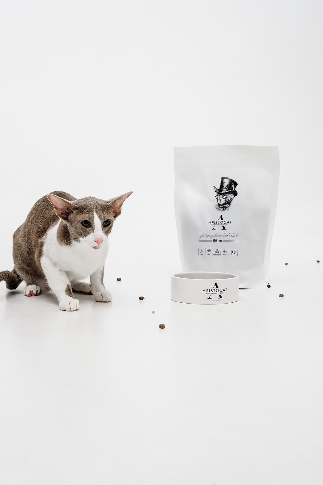 ARISTODOG. Фотограф и видеограф Анна Жагорина