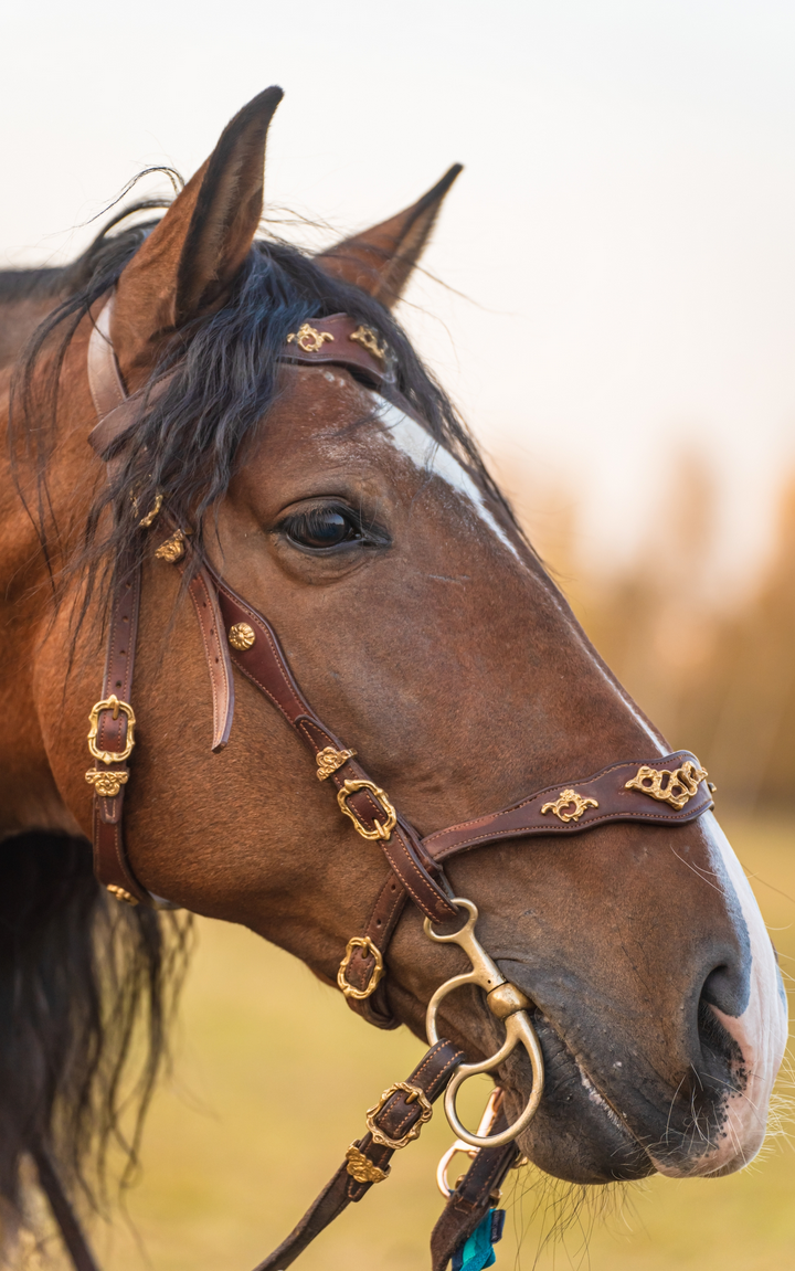 Лошади. Свадебный и портретный фотограф Москва