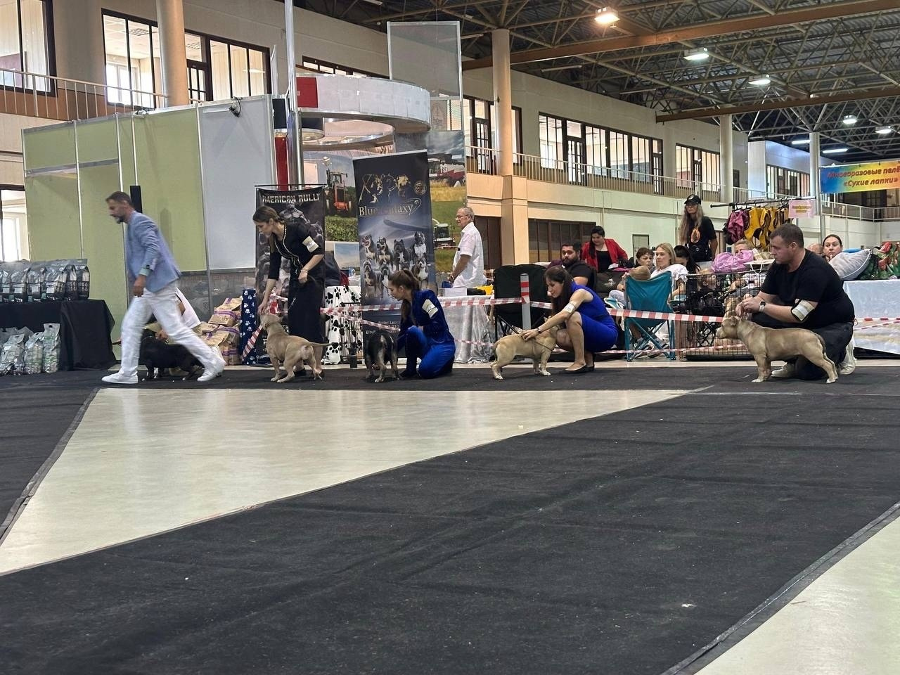 американский булли Юг, американский булли южный округ, лучшие американские булли на юге россии, топовые булли в россии, топовые американские булли в россии, ТОП булли, Топ американский булли, самые крутые американские булли, булли клаccик, булли покет, булли стандарт, булли экзот, булли xl, амeриканский булли, щенок булли, американский булли питомник, американский булли купить, американский булли щенок, американский булли москва, американский булли ростов-на-дону, американский булли краснодар, американский булли ставрополь, американский булли волгоград, американский булли семфирополь, американский булли ставрополь, американский булли сочи, американский булли воронеж, американский булли питер, американский булли санкт-петербург, американский булли Казань, американский булли Новосибирск, американский булли Челябинск, американский булли Ростов, американский булли Луганск, американский булли Донецк, американский булли покет, американский булли классик.американский булли ,американский булли щенки , американский булли купить ,американский булли фото , американский булли покет , собака американский булли , порода американский булли , американский булли цена , купить щенка американского булли ,американский булли характеристика , порода собак американский булли, питомник американских булли , американский булли отзывы, американский булли стандарт , американский булли отзывы владельцев, американский булли xl , россия американские булли , американские булли москва , американский булли вес , американский булли цена щенка, американский булли породы собак сша , американский булли размеры , американский булли классик , американский булли классика , американский булли характеристика породы , авито американский булли , сколько стоит американский булли , окрасы американских булли , американский булли виды , американский булли типы , американский булли цена в россии , американский булли экзот , американский булли микро , американский булли мини , собака американский булли фото , американский булли спб , американский булли характер , минусы американского булли , купить американского булли в москве , американские булли сколько щенков , плюсы американского булли , американский булли плюсы и минусы , взрослый американский булли , американский булли фото цена , американский булли фото щенков , американский булли крым , сколько живут американские булли , американский булли описание , американский булли купить авито , американский булли ростов , собачий питомник , питомник для собак , собаки , порода , щенки, щенок для детей, щенок для ребенка, щенок для семьи, собака для ребенка, питомник BULLY LOVERS, питомник THE POWER OF SIBERIA, питомник Ultimate Bully, питомник FORTIS FORTUNA VALIDI, питомник EXTREME BEAR, питомник American Dream, Питомник RUSSIAN BULLS, питомник ТАРУС & BULLY LAND, питомник Bully Ranch P&N, Питомник ANTREABULLS, питомник Ambully House, питомник Mar Nero, питомник Alfabulls, #micro #microbully #ambully #ambullys #ambullylife #ambullyforlife #ambullyworld #ambullylove #ambullylover #ambullylovers #ambullyloversfans #americanbullybreed #americanbullykennelclub #американскийбуллипитомник #bullies #bulliesallday #bulliesofig #bulliesofinsta #bulliesofinstagram #instabullies #bullieslife #bullymag #americanbully_feature #americanbullydog #tribullies #americanbullyblue #americanbullytricolor #bullystick #americanbullyStud, американский булли,американский булли щенки,американский булли купить,американский булли покет,американский булли фото,собака американский булли,порода американский булли,американский булли цена,американский булли купить щенка,американский булли характеристика,порода собак американский булли,американский булли отзывы,питомник американских булли,американский булли стандарт,американский булли отзывы владельцев,россия американские булли,американский булли виды,американский булли цена щенка,сколько стоит американский булли,американский булли цена в россии,американские булли москва,американский булли xl,американский булли размеры,типы американских булли,американский булли мини,американский булли вес,авито американский булли,американский булли породы собак сша,американский булли микро,американский булли характеристика породы,американский булли экзот,американский булли классик,американский булли классика,собака американский булли фото,американский булли характер,минусы американского булли,американские булли спб,американский булли окрасы,американский булли купить в москве,американские булли сколько щенков,плюсы американского булли,американский булли видео,американский булли плюсы и минусы,американский булли щенок фото,взрослый американский булли,американский булли девочка,американский булли описание,сколько живут американские булли,американский булли покет купить,американский булли крым,american bully,american bully ru,american bully ru shchenki,https american bully ru,https american bully ru shchenki,american bully xl,american bully питомник,american bully dog,american bully kennel,american dream bully,american bully pocket,american bully kennel club,all american bully фильм смотреть,american bully xxl,reddit american bully,american bully ru shchenki html,american bully wise,celina innovations crochet american bully part,https american bully ru shchenki html,american bully classic,питомник американских булли,питомник собак американский булли,питомник американских булли в крыму,питомник собак в крыму американские булли,питомник в крыму американский булли последние,питомник американских булли в москве,американские булли купить питомник,питомник американских булли в россии,питомник американских булли покеткупить щенка американский булли питомник,американские булли цена питомники,питомник американских булли в спб,питомник американских булли яна,купить американского булли в москве питомник,питомник американских булли в москве и московской,официальные питомники американских булли,крым питомник американских булли яна,булли американский купить питомник цена,москва и область питомники американских булли,питомник американских булли яна и гоша,американские булли подмосковья питомник,американский булли стандарт питомник,питомник американских булли екатеринбург,питомник американских булли ростов,лучшие питомники американских булли,питомник собак крым американский булли яна,яна питомник собак американский булли,американский булли купить в спб питомник,американский булли питомник львиное сердце уфа,американский булли питомник львиное сердце уфа вк,американский булли лучший питомник россии,американский булли питомник краснодар,американский булли купить спб щенка питомник,американский булли покет питомник москва,американский булли сайт питомник,питомник американский булли официальный сайт,питомник американских булли в челябинске,питомники американских булли в россии список лучших,питомник собак американских булли серпухов,питомник собак дзен американский булли,американский булли xl питомник,питомник американских булли в талдоме,питомник и цена американ американский булли,фаворит гигант питомник американских булли,американский булли купить,американский булли купить щенка,американский булли купить в москве,американский булли покет купить,американский булли купить щенка в москве,американский булли купить авито,купить американский булли цена,купить американского булли в спб,купить собаку американский булли,американский булли купить щенка цена,американский булли покет купить щенка,американский булли купить в беларуси,американский булли стандарт купить,американский булли купить москва московская область,купить американского булли в россии,купить американского булли в московской области,американский булли купить в екатеринбурге,американский булли купить в новосибирске,американский булли купить щенка в спб,