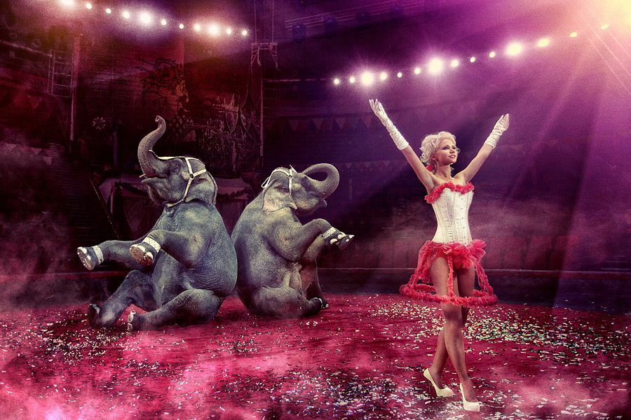 Family ART. Гуру мировой свадебной фотографии Александр Ноздрин, г. Москва и весь