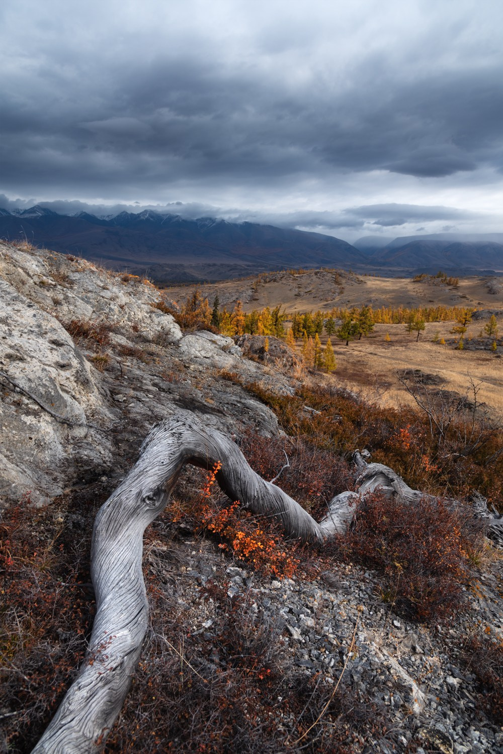 Осенний Горный Алтай. Профессиональный пейзажный фотограф Алёна Рубан