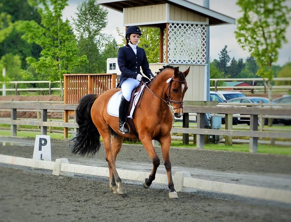 Founder. Liana Antanovich | Equestrian Strategies