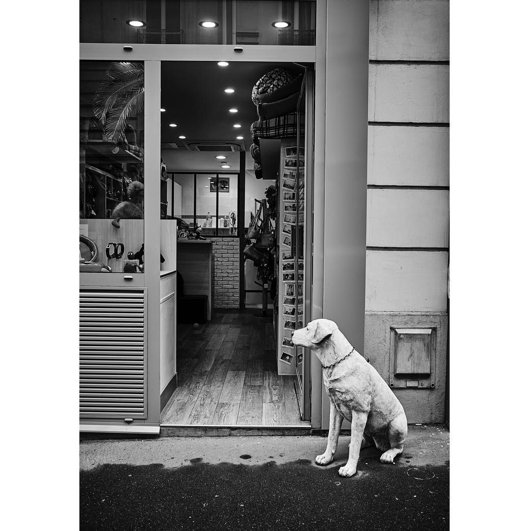 Paris: Download Error