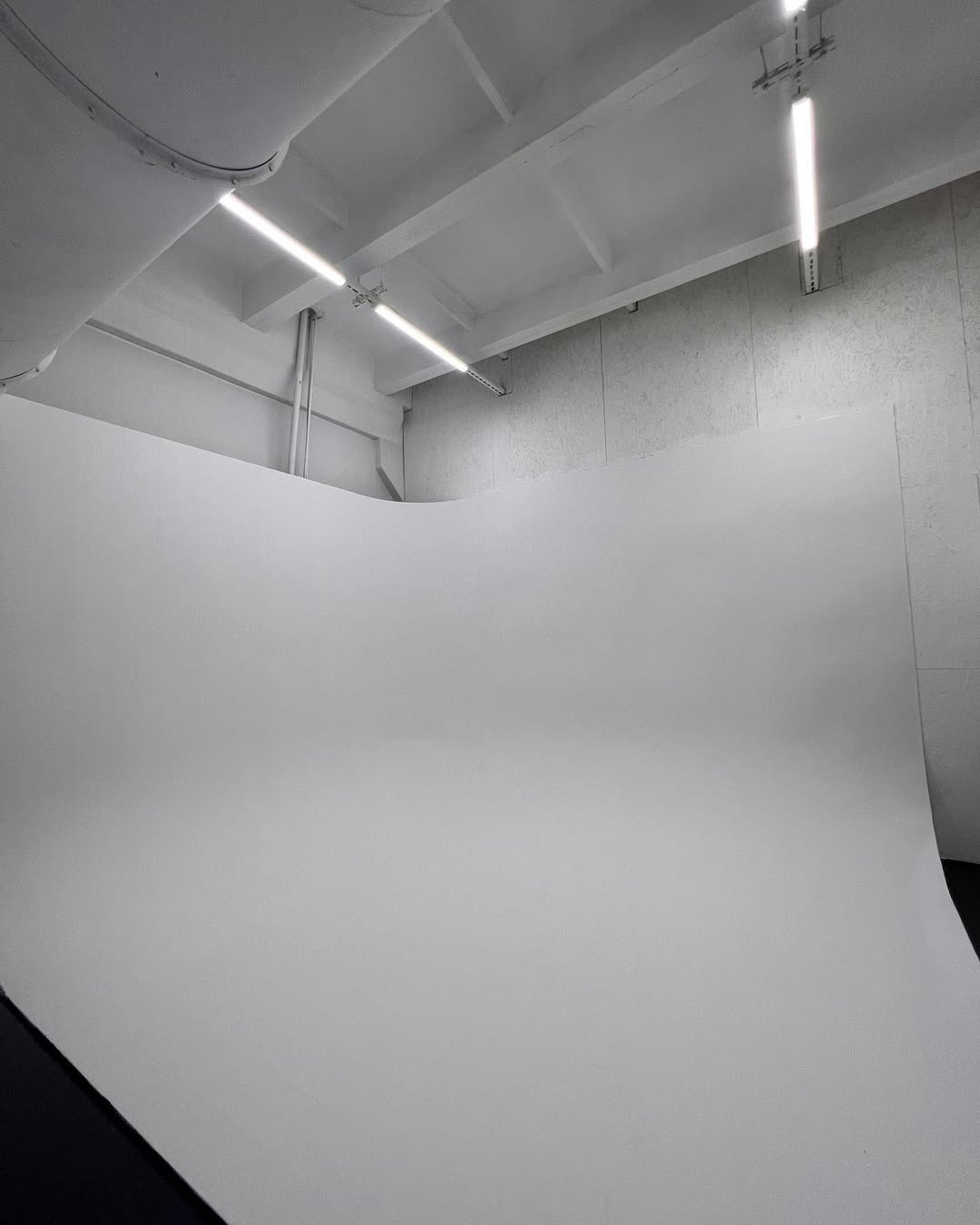 Фотостудия MAUS — всё для комфортной и красивой съёмки. Фотограф в Минске Людмила Дутко