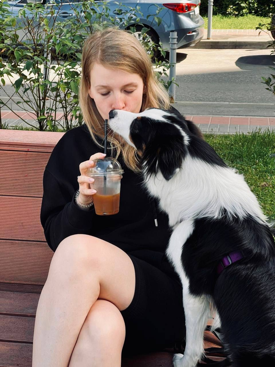 Ива. BLGKV питомник собак