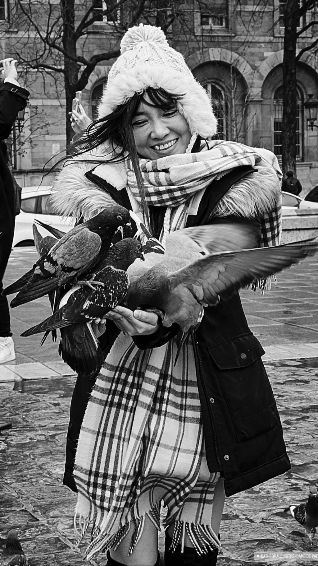 Paris: Download Error