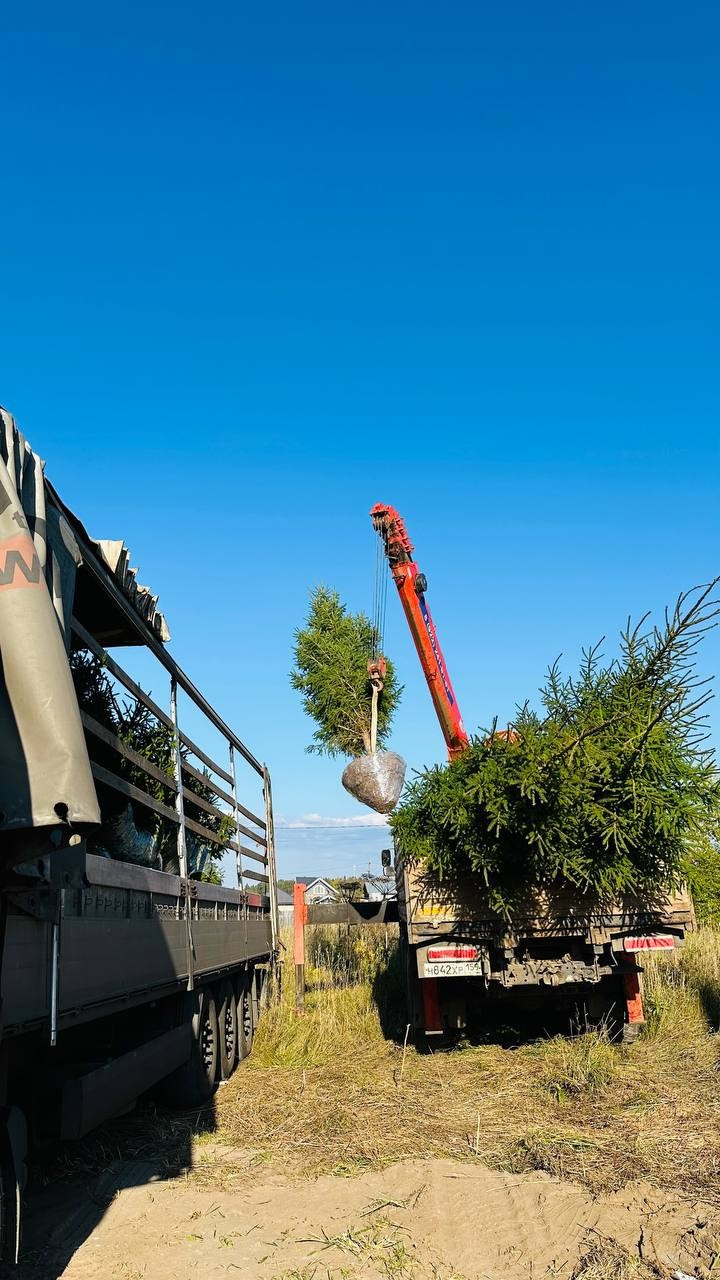 Крупномеры РФ