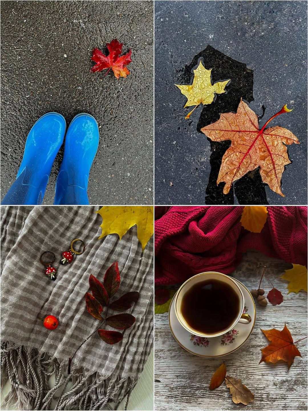 Интенсив по предметной съемке и визуалу « Уют в кадре». Anushikcreates