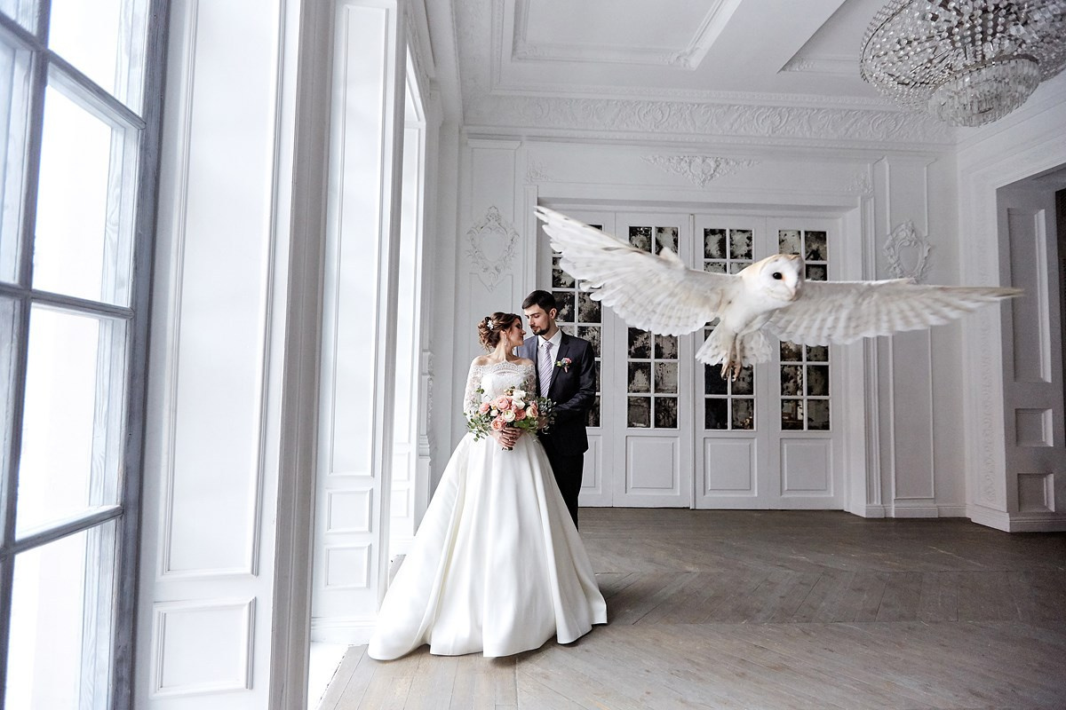 Фотограф Гребенкин. Подрядчики и друзья сети свадебных площадок House for wedding