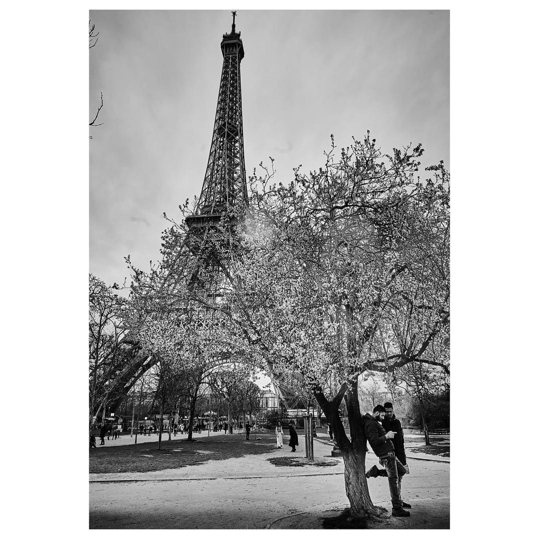 Paris: Download Error