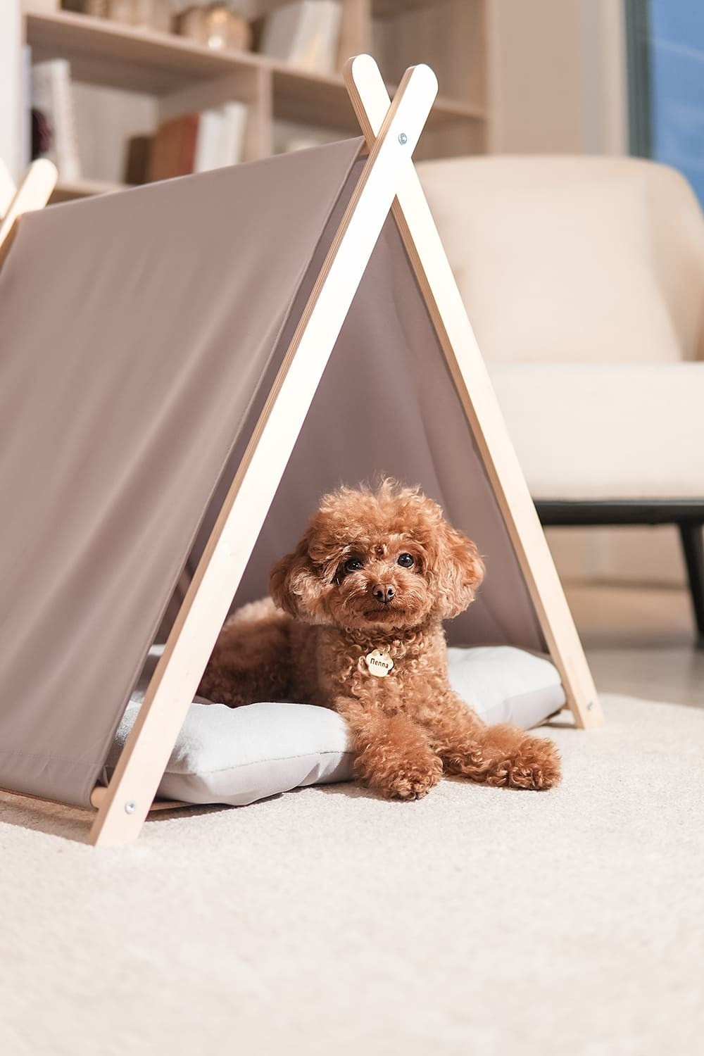 Контент-съёмка для бизнеса. Катя Кудринская. Фотограф на мероприятие СПб. Семейный фотограф