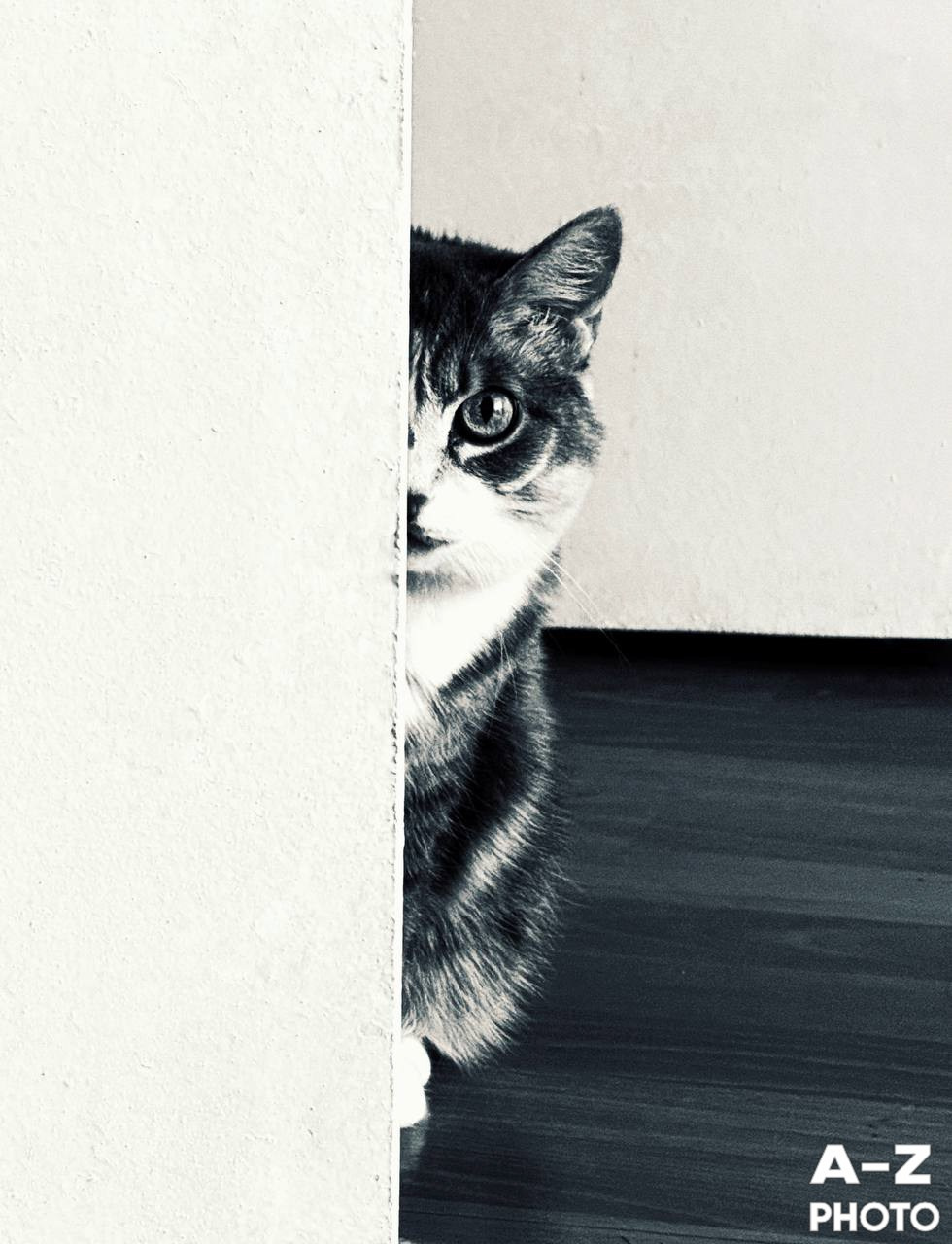 #ФОТОНЕДЕЛИ 30.03.2026. Женский семейный фотограф Тула Москва Захарова Анна