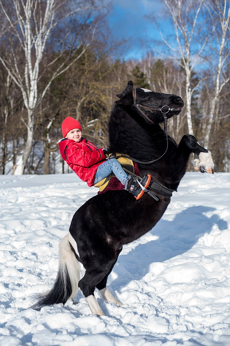 Главная /Зимние фотосессии. Фотограф Татьяна Толстых (Москва, Калуга, Обнинск)