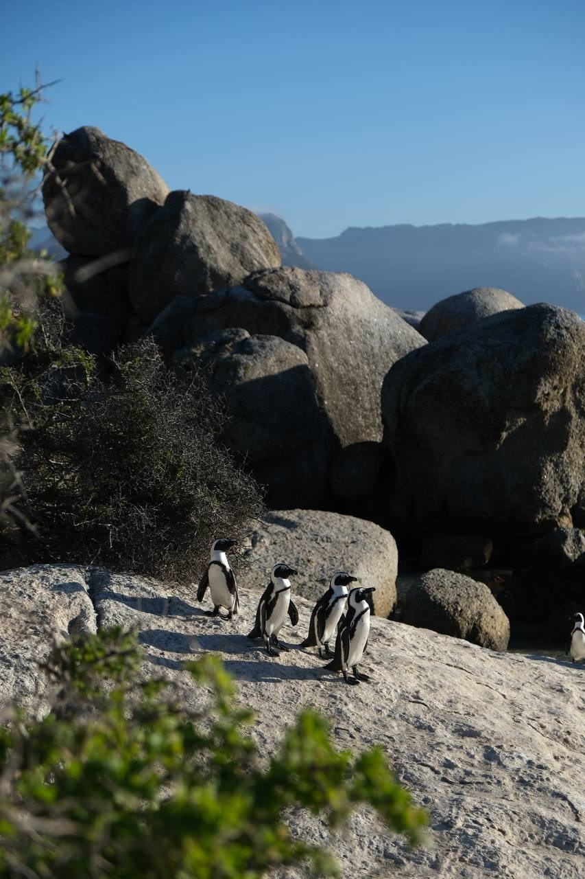 Nataresso | фотограф Москва