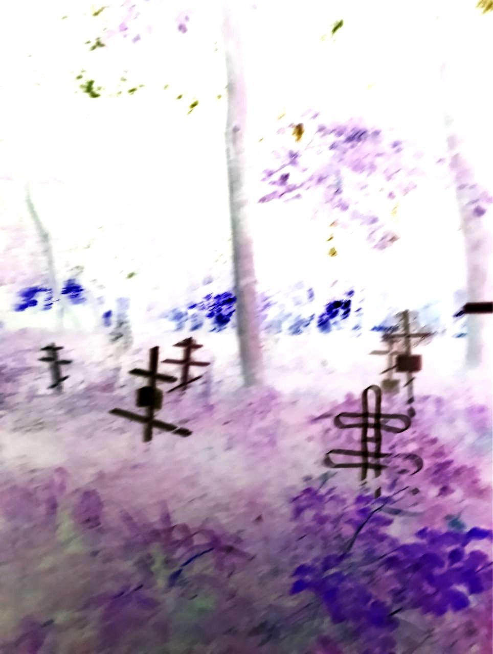 Елена Чернышова — Пираты воображения