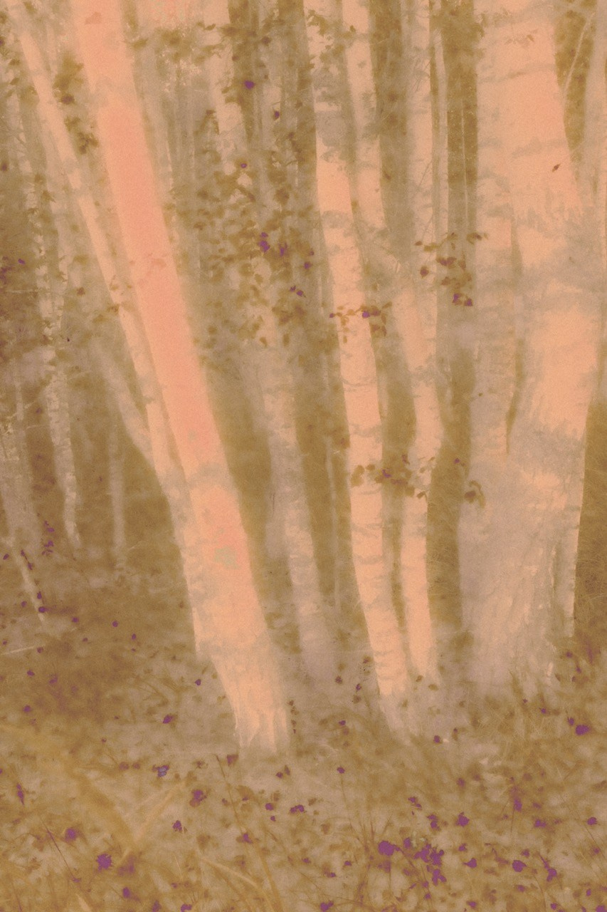 СНЫ О ДЕТСТВЕ. Визуальный артист Наташа Солнцева