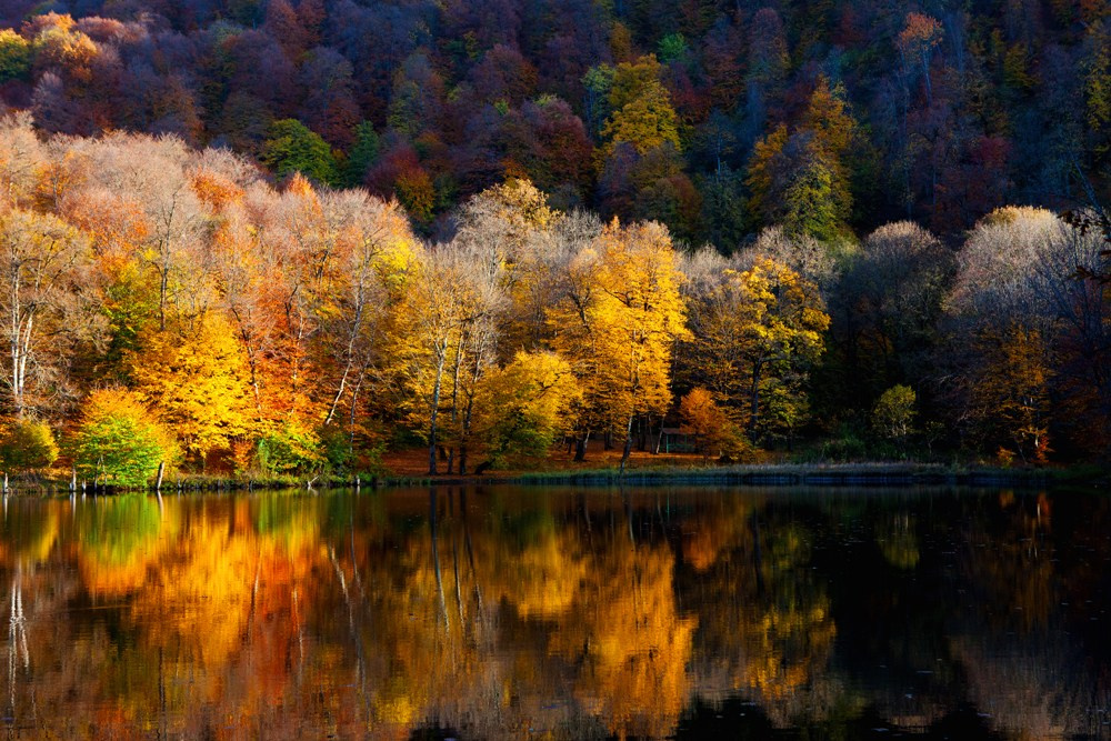 Осенняя Армения 2026 | Фотограф Дмитрий Купрацевич. Дмитрий Купрацевич профессиональный пейзажный и travel-фотограф