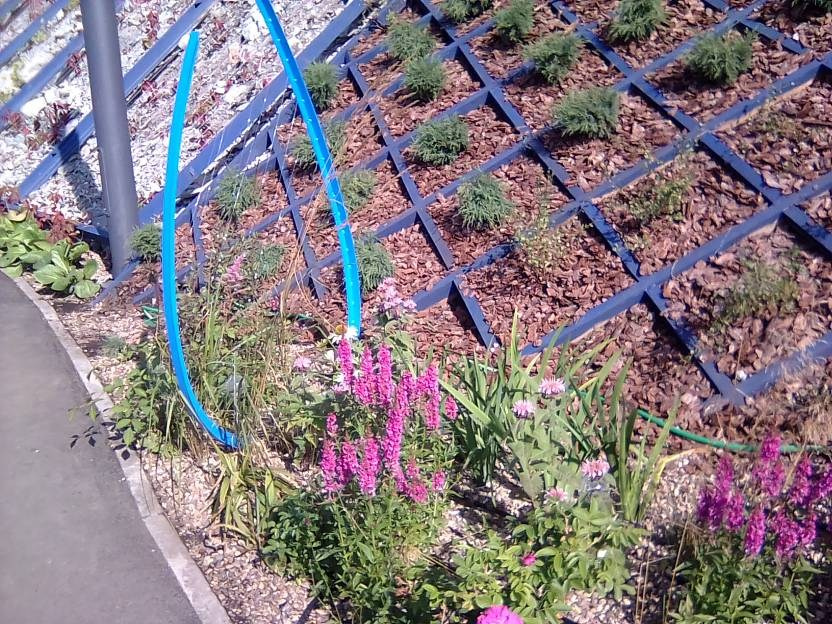 ВНИМАНИЕ! ФЕСТИВАЛЬ ЛАНДШАФТНОГО СТРОИТЕЛЬСТВА. 俄罗斯设计估算