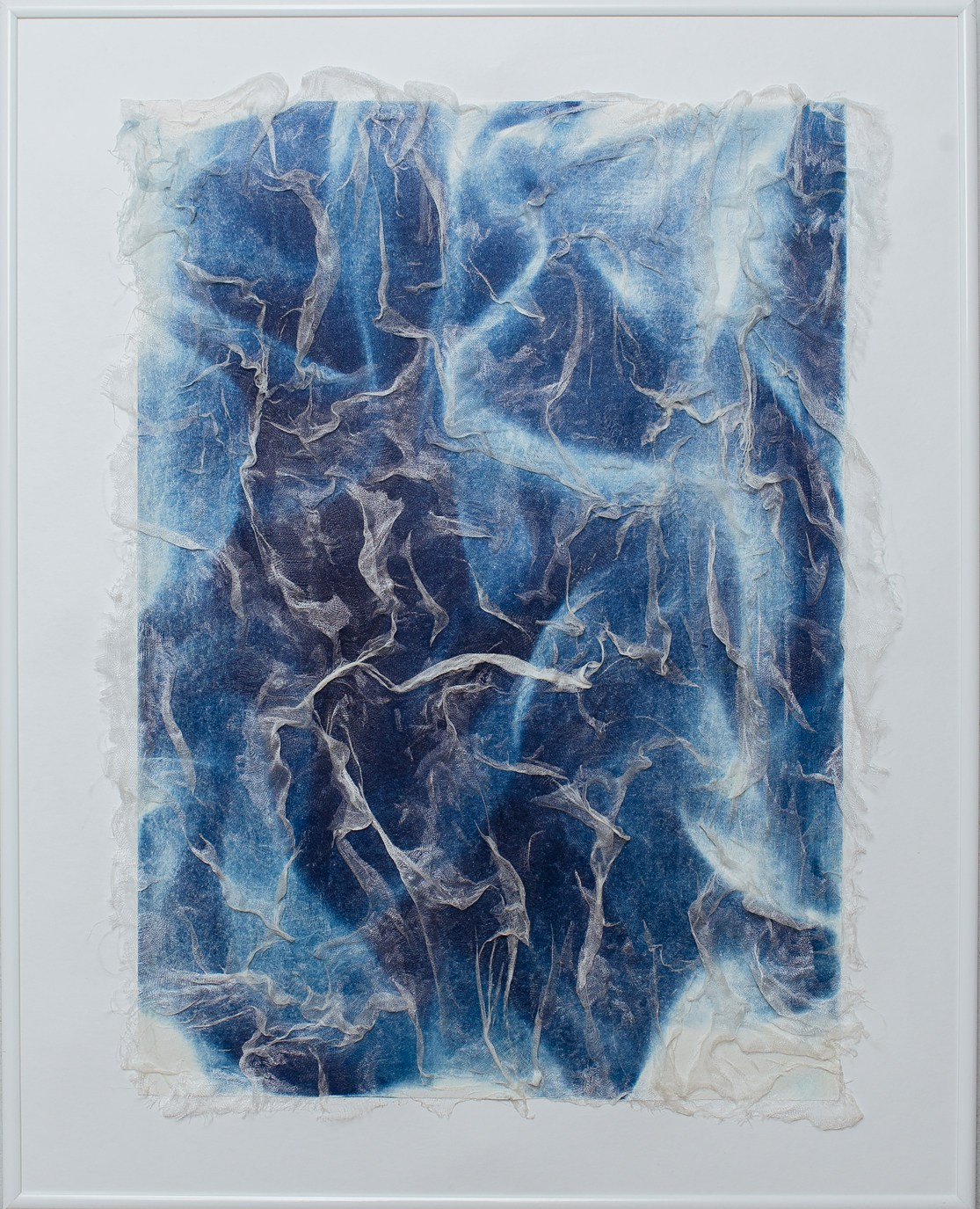 CYANOTYPE. CONTEMPORARY ARTIST OLGA ANDRIYASH
