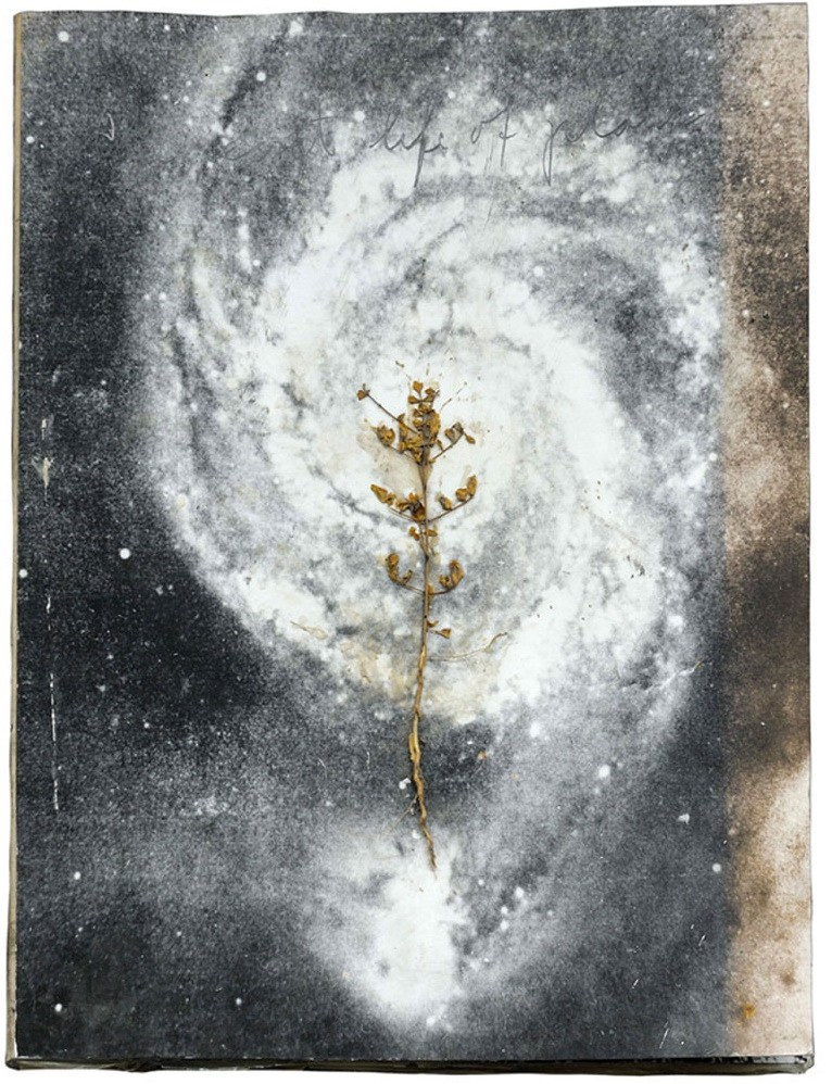 Anselm Kiefer: Photography at the beginning. Private image