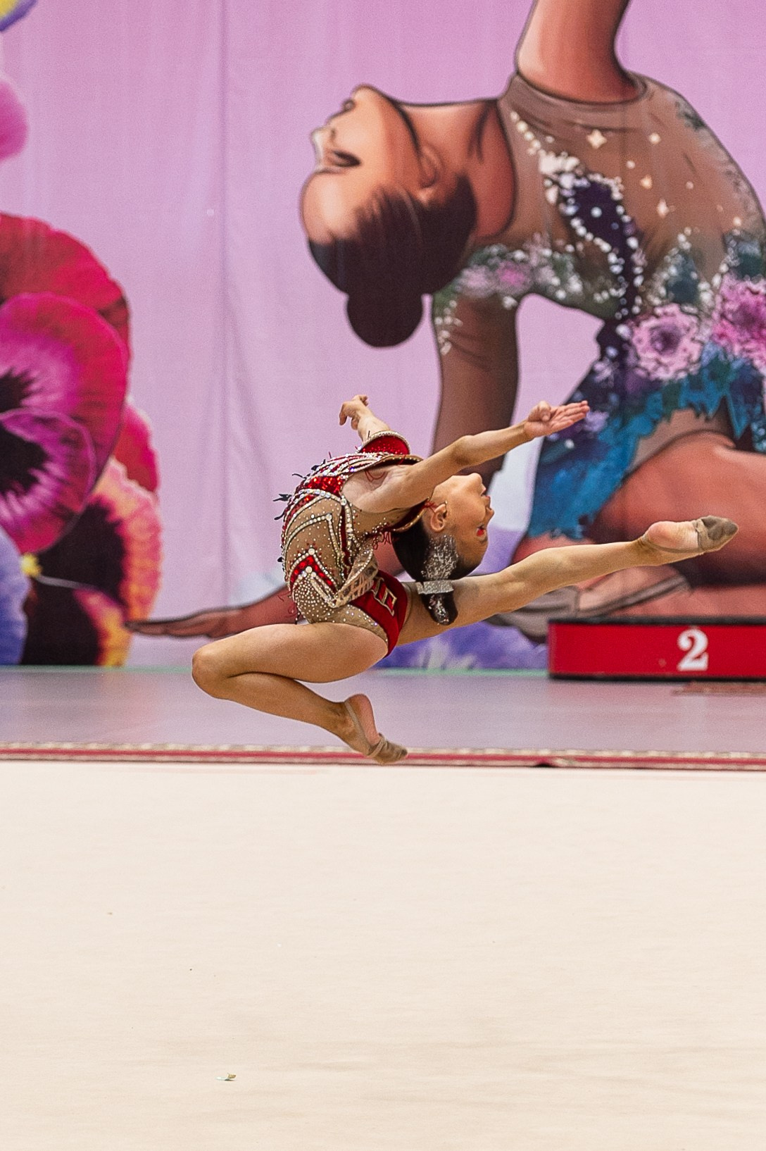 Фотограф Алина Суродеева. ФОТОВИДЕОСПОРТ. Фото видео услуги на соревнованиях по художественной гимнастике. Видеотрансляция соревнований. Москва, ЦФО, ПФО