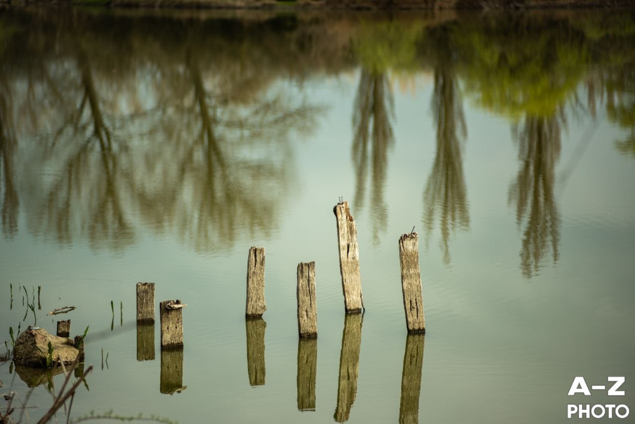 #ФОТОНЕДЕЛИ 06.04.2026. Женский семейный фотограф Тула Москва Захарова Анна