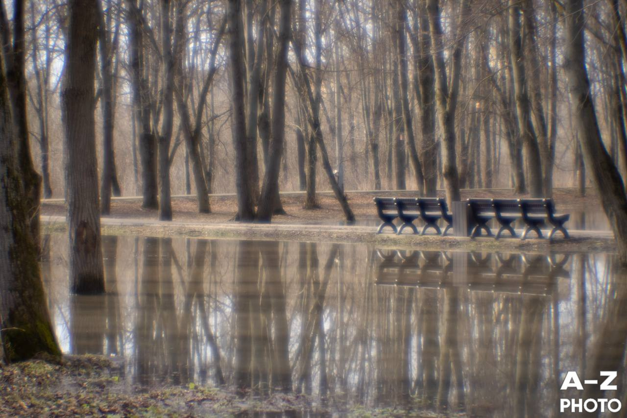 #ФОТОНЕДЕЛИ 06.04.2026. Женский семейный фотограф Тула Москва Захарова Анна