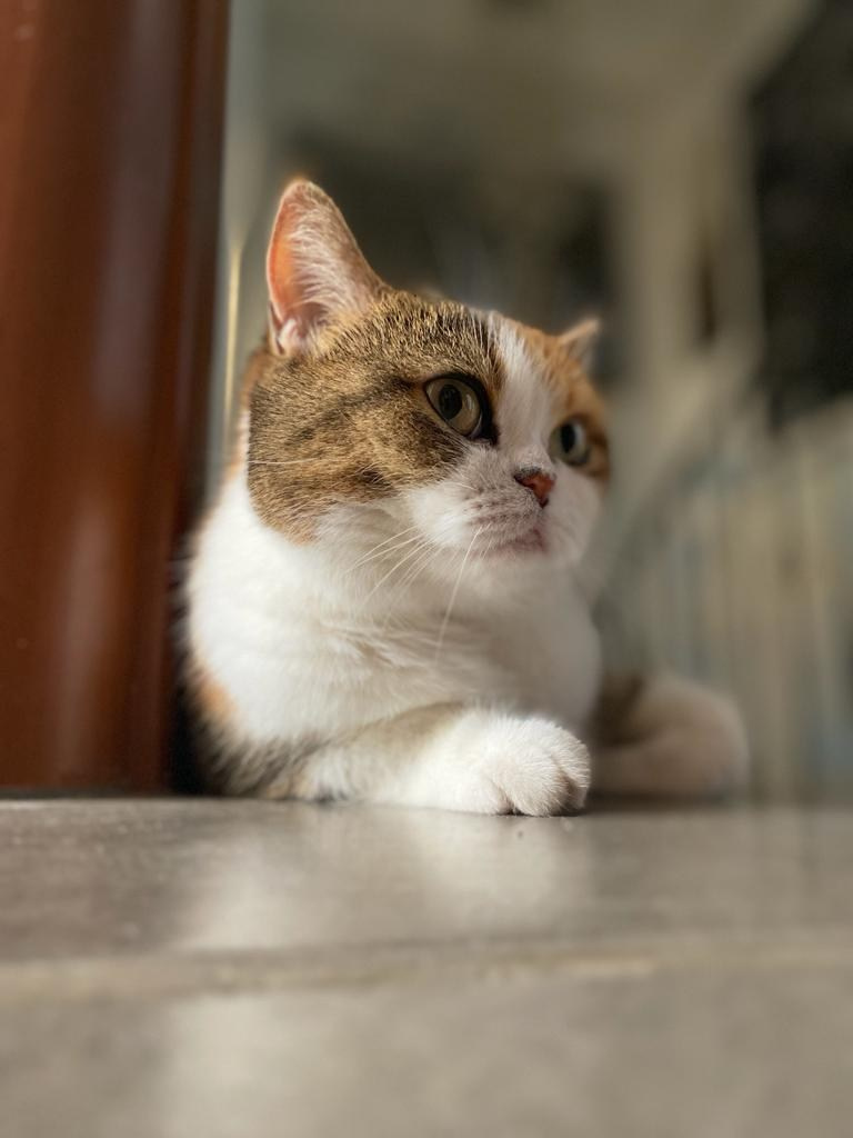 About the artist. Artist Margarita Gusak