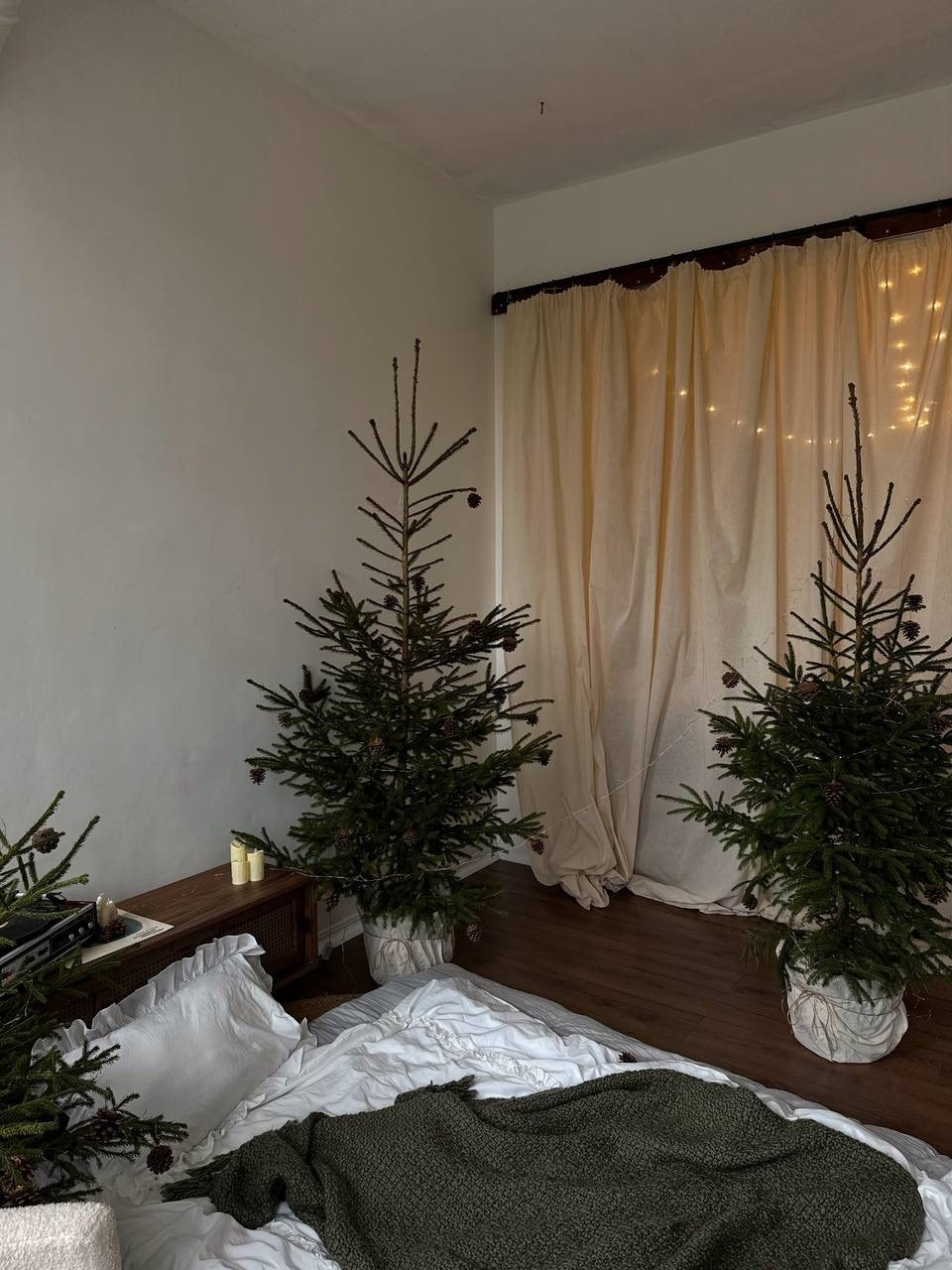 Новогодние залы в фотостудии. Свадебный и семейный фотограф в Твери и Тверской области