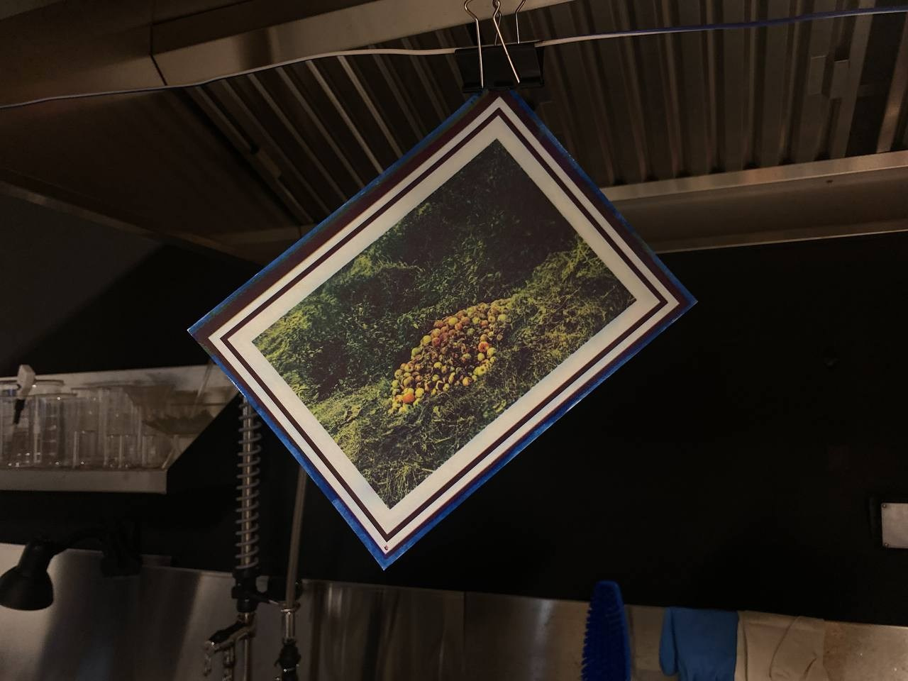 Ольга Михальчук стала резидентов печатной лаборатории в ГЭС-2. Ольга Михальчук, художница и фотограф