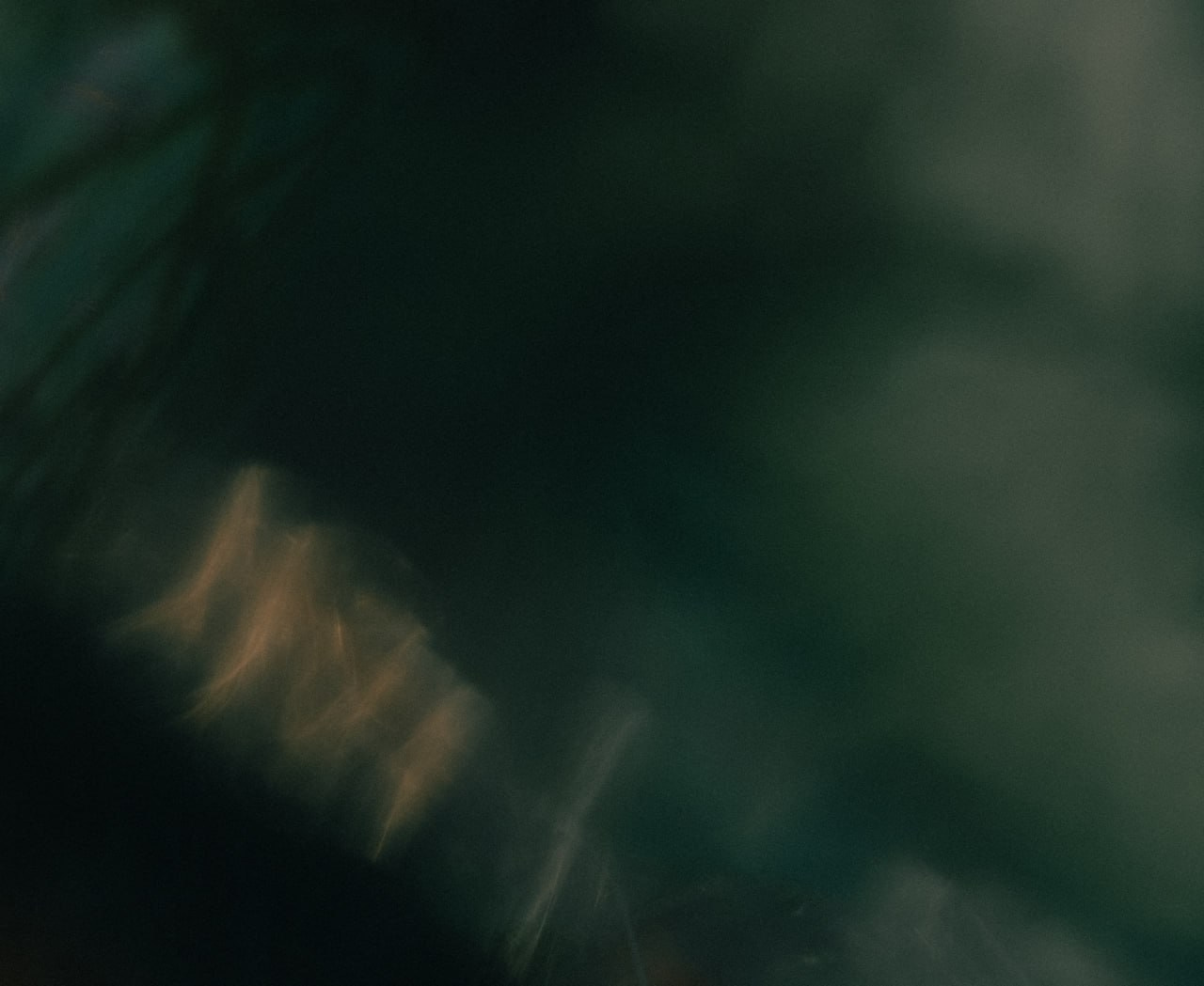 Фотолагерь для фотографов и не только. ARTDARY | Фотограф Дарья Грицай