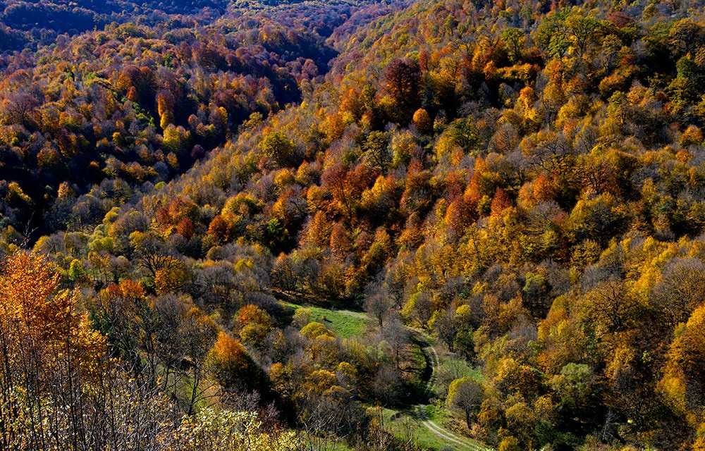 Осенняя Армения 2026 | Фотограф Дмитрий Купрацевич. Дмитрий Купрацевич профессиональный пейзажный и travel-фотограф