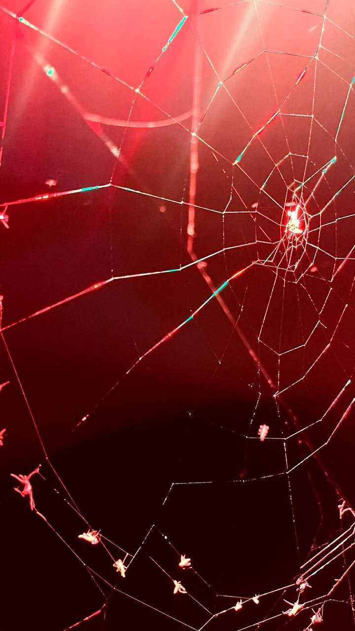 Марафон креативной фотографии. Vladimir Borele Photographer