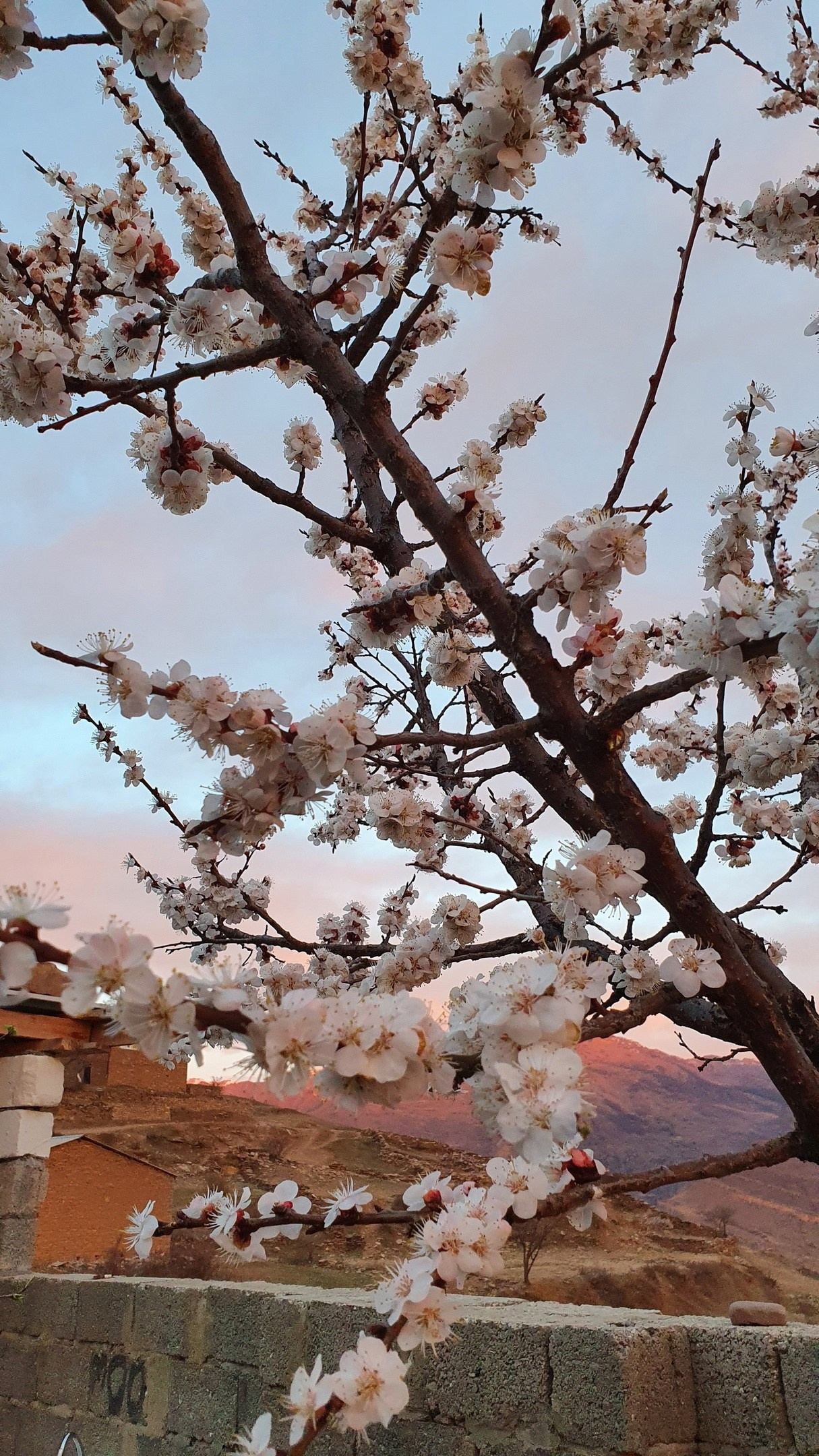 Дагестан: горные аулы-путешественники