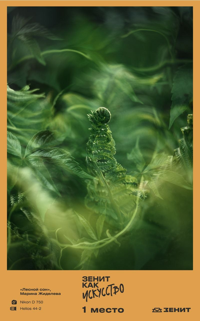 Социальное портфолио. Душевная фотография от сердца к сердцу Марина Жиделева фотограф Москва