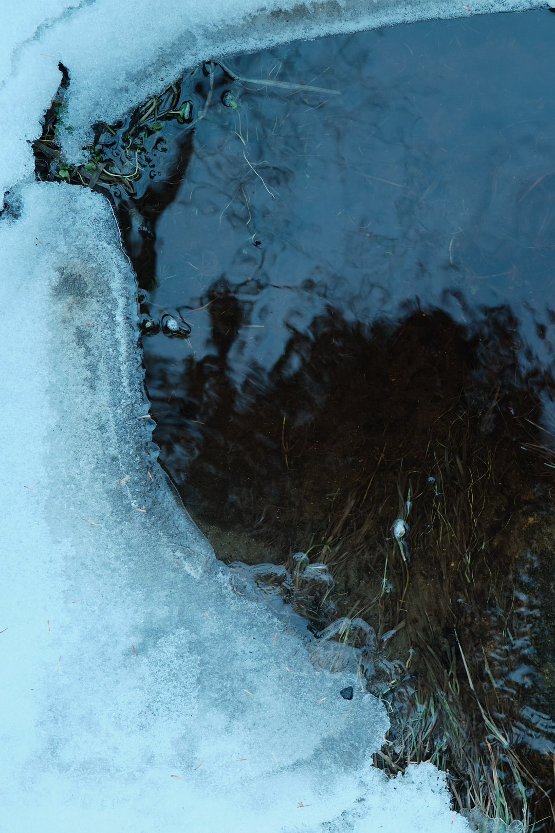 *photofon by izma. Izma photos