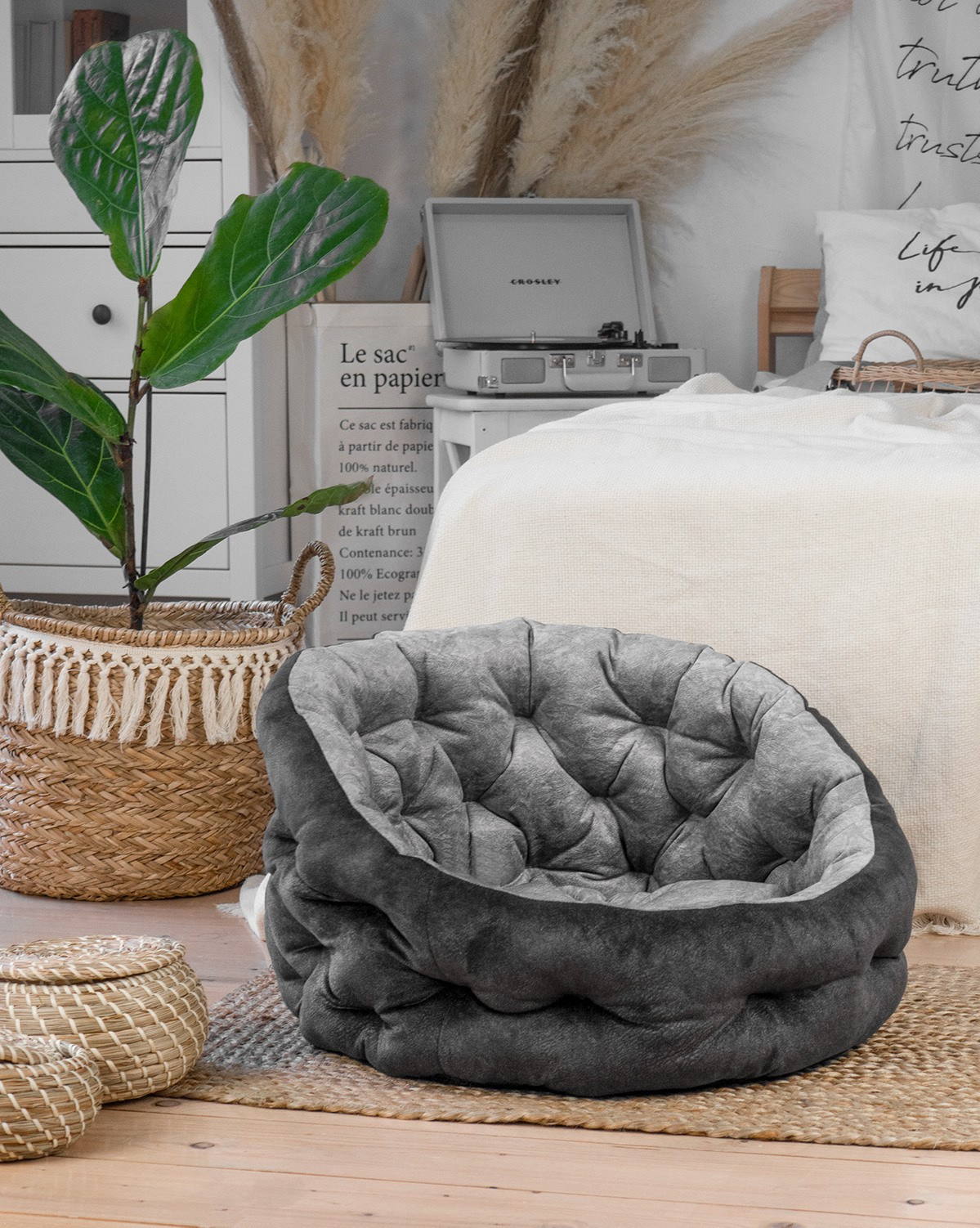 Съемка товаров для животных. Предметная фото и видеосъемка в Краснодаре | Профессиональные продающие фото