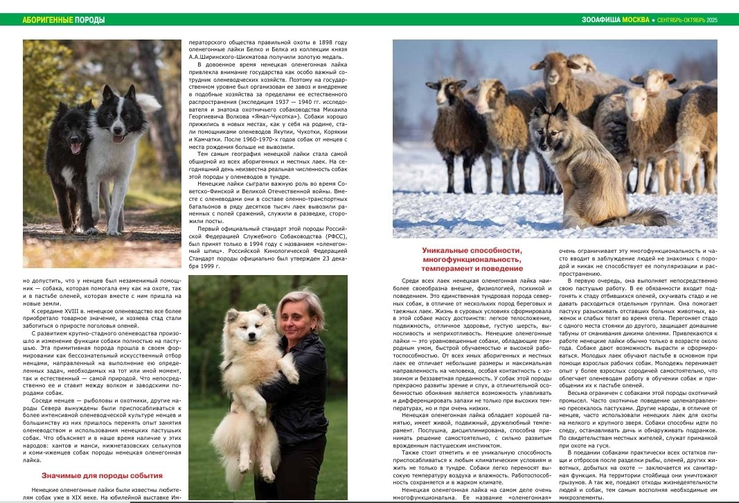 Моё фото на обложке журнала ЗооАфиша. Фотограф-анималист Natalia Deingel | Фотосъемка собак в Москве